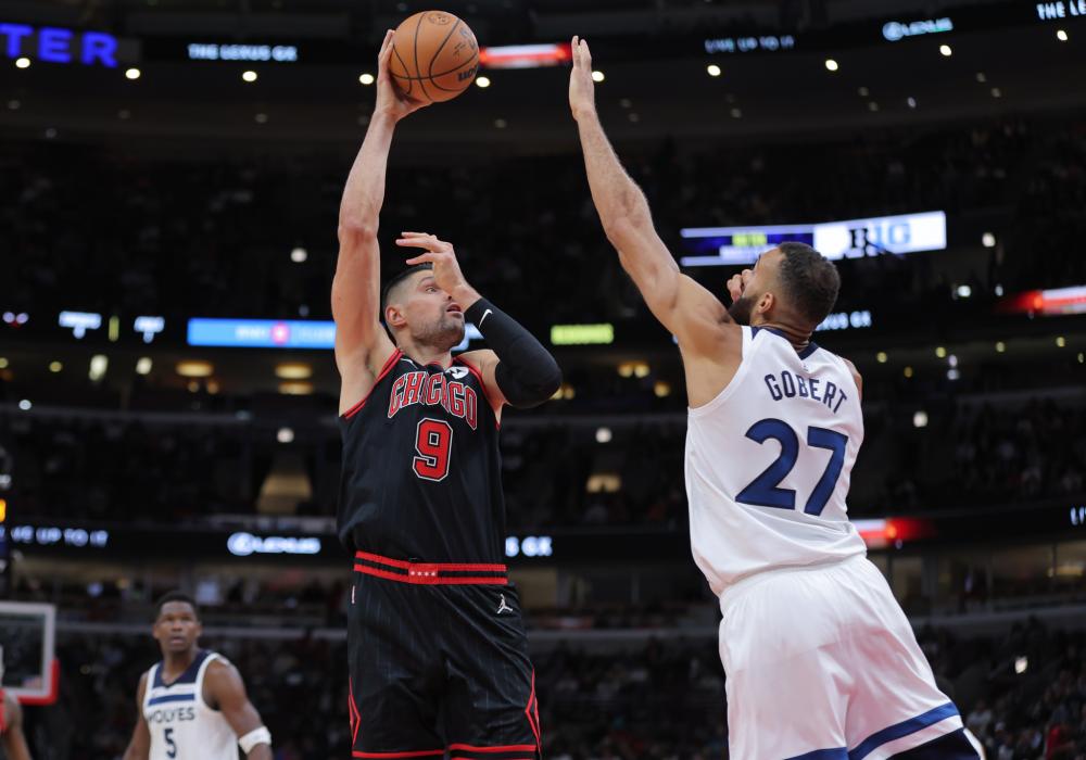 赛生态贡献 赛生态贡献